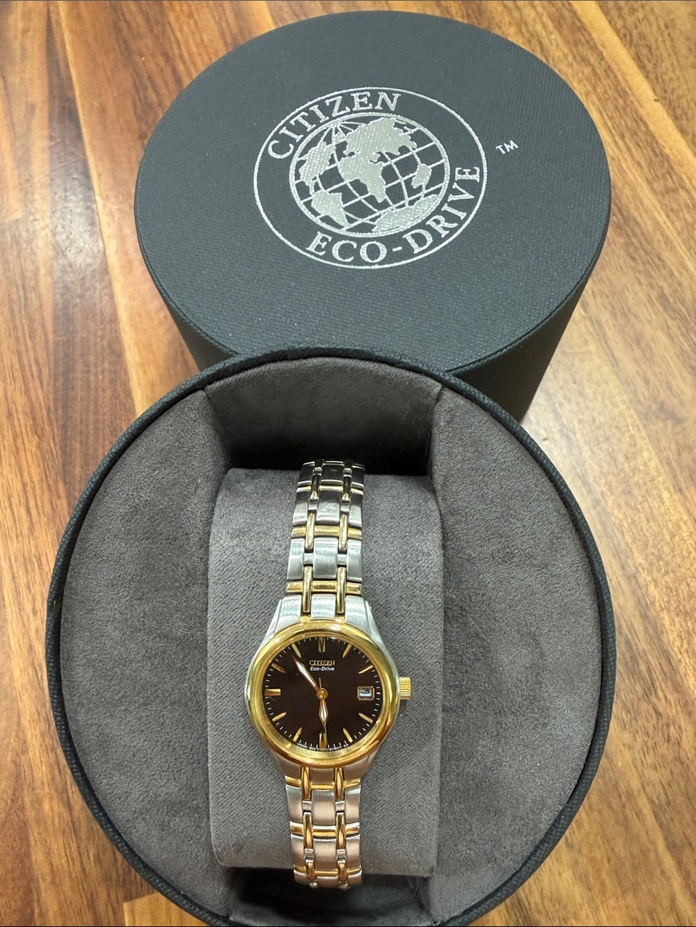 Citizen Women's 
Stainless Steel Eco-Drive Watch,black dial  powered by light